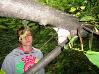 /album/fotogaleria-/mima-sprava-nad-hlavou-jpg/